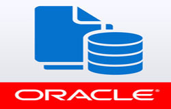 Oracle数据库管理工具有哪些?-北京开云平台网站登录入口官网
公司