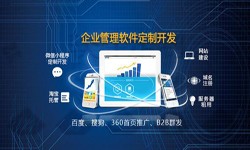 Erp开云平台网站登录入口官网
的发展现状-北京开云平台网站登录入口官网
公司锐智互动