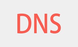 北京开云平台网站登录入口官网
、DNS的基本概念、北京锐智互动开云平台网站登录入口官网
