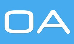 软件外包公司、OA系统开发功能有哪些？费用是多少-开云平台网站登录入口官网
公司[北京锐智互动]