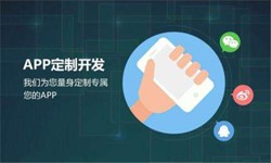 开云平台网站登录入口官网
公司、高质量的开云平台网站登录入口官网
系统是怎么开发出来的？-北京软件外包