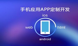 APP开发市场上常见问题分析-北京开云平台网站登录入口官网
公司